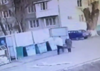 Сколько на Кубани дадут мужчине, вырубившему около контейнерной площадки 85-летнюю пенсионерку