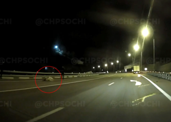 В Сочи на дороге 10 лошадей “затоптали” корову