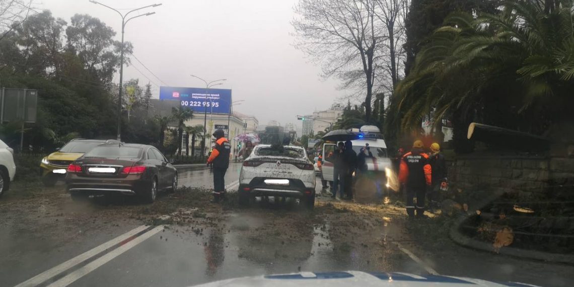 В центре Сочи убрали упавшее на машину дерево