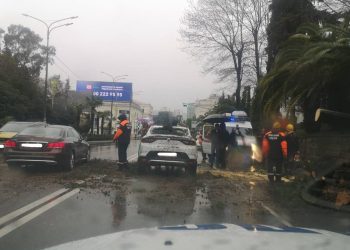 В центре Сочи убрали упавшее на машину дерево
