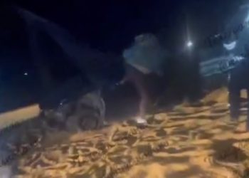 В ДТП с двумя грузовиками на Кубани пострадал водитель легковушки