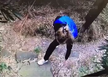 В Сочи женщина обмазывала калитку соседей фекалиями