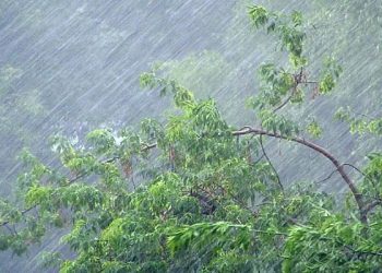 В Сочи ожидаются дожди и грозы