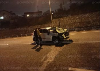 Мистика: в Сочи за два дня на одном месте сбили трех коров