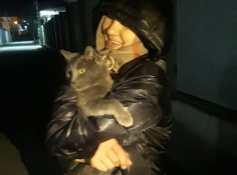 На Кубани спасателям пришлось вызволять кошку, застрявшую в ливневке