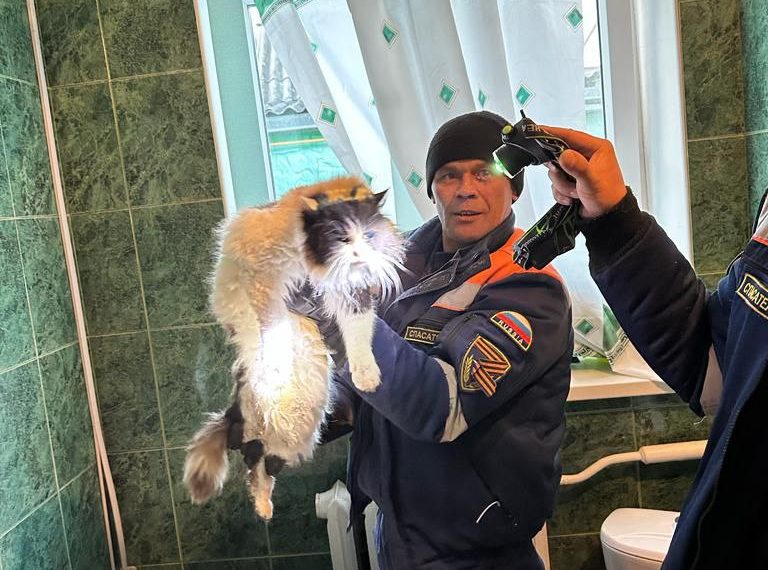 В Новороссийске спасатели вытащили из-под ванны застрявшего огромного кота