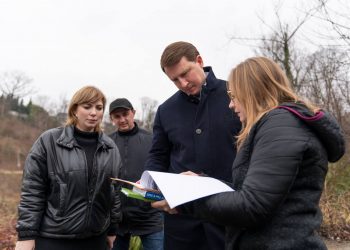 В Сочи хотят благоустроить Мамайский лесопарк