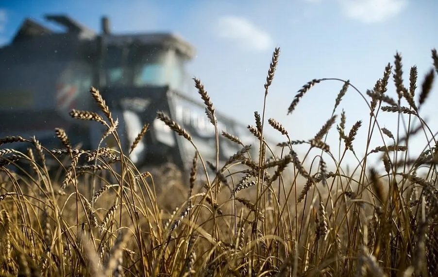 На Кубани потратят 460 миллионов на компенсации затрат по агрострахованию