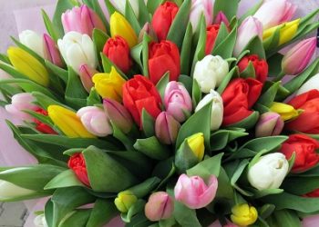 Как жители Сочи и Краснодара будут отдыхать на 8 Марта