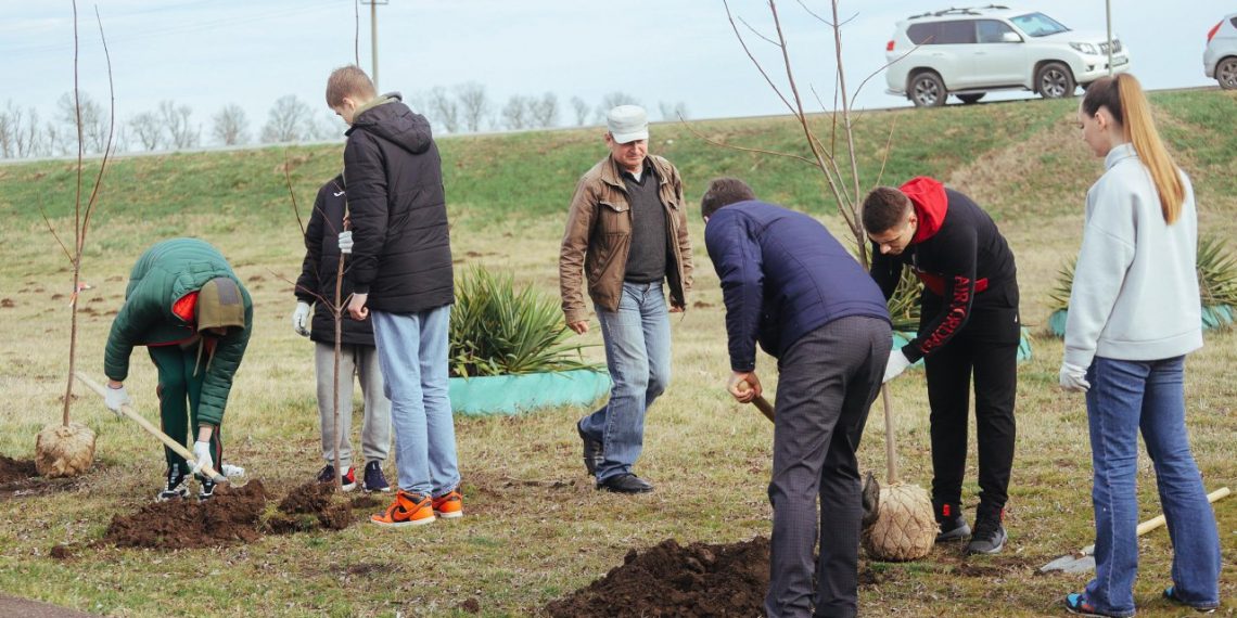 В Краснодаре пройдет субботник 1 апреля: список адресов