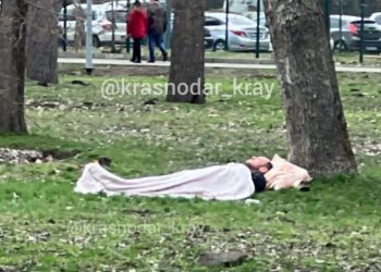 «Главное — каштаны не застудить»: в парке Краснодара мужчина расстелил себе постель и уснул