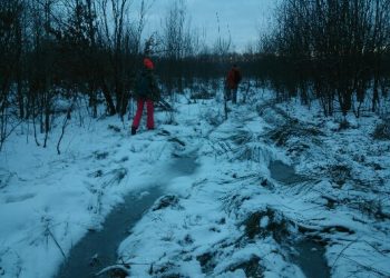 В Краснодаре прекращены поиски подростка, пропавшего неделю назад