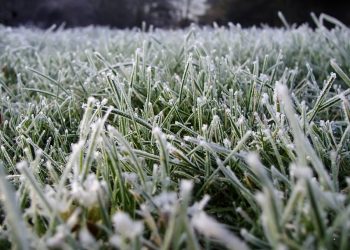 На Кубани объявили штормовое предупреждение по заморозкам