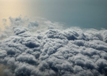 В Сочи полиция проверяет информации о расстреле коршунов