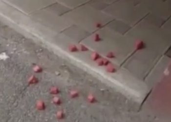 Краснодарцы жалуются на то, что собак травят сосисками