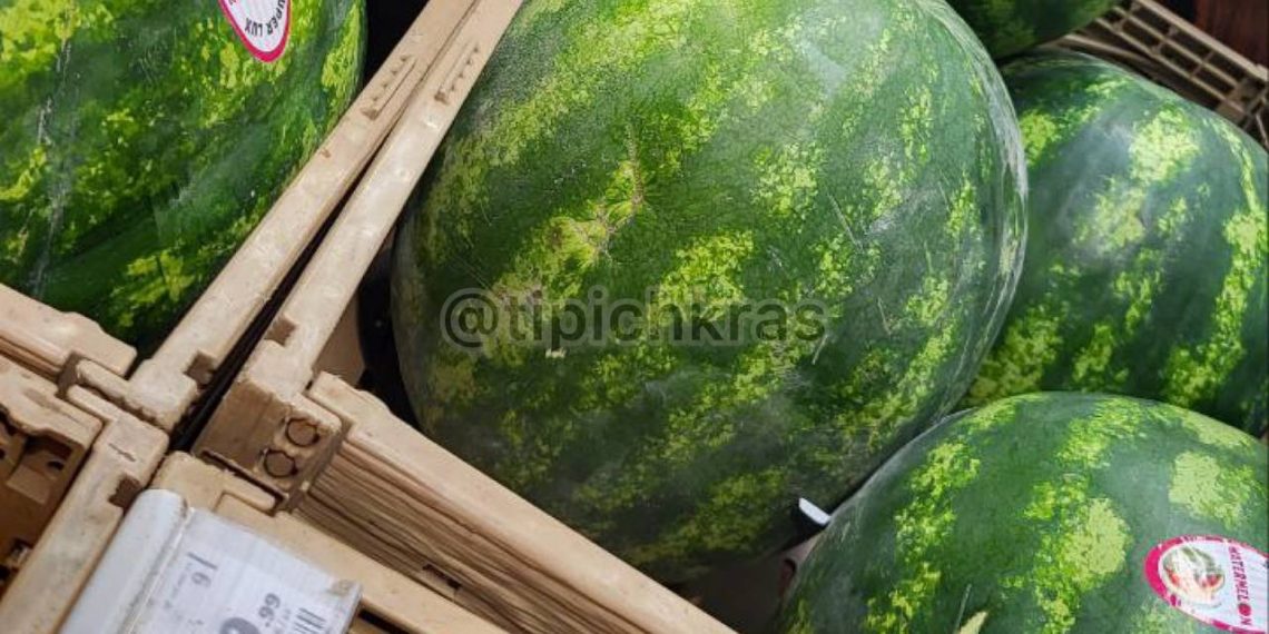 В Краснодар завезли арбузы по цене куриных окорочков
