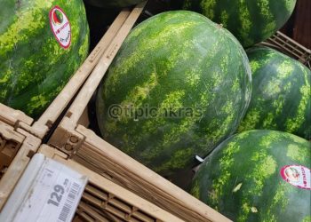 В Краснодар завезли арбузы по цене куриных окорочков