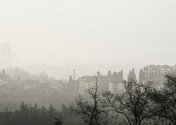 В Сочи сегодня туман может влиять на расписание движения самолетов в аэропорту