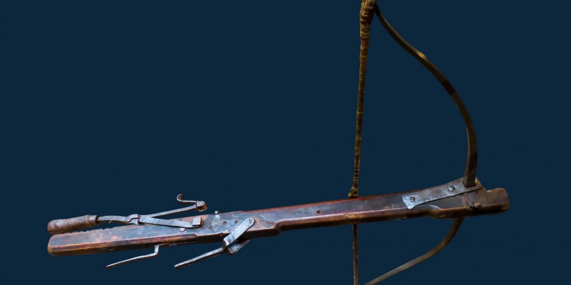 На Кубани мужчина выстрелил из арбалета в глаз коту