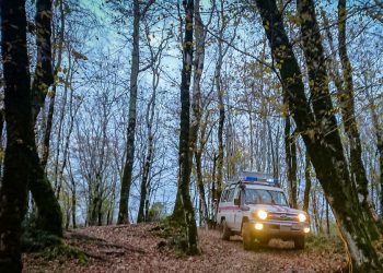 В горах Сочи спасли семью с шестилетним ребенком