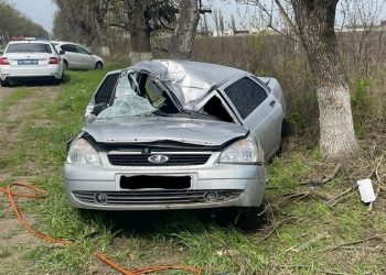 На Кубани женщина на «Ладе» врезалась в дерево и погибла