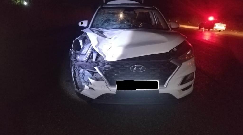 На Кубани Hyundai насмерть сбил 33-летнего мужчину