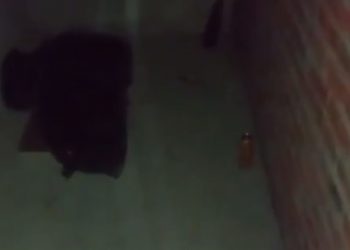 Жители краснодарского ЖК жалуются на поселившегося в подъезде бомжа