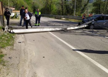 В Сочи столб рухнул на легковушку