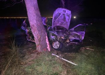 На Кубани «Лада» врезалась в дерево и загорелась: погиб водитель