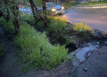 Появилась фотография с места гибели 80-летней учительницы в ливневом коллекторе Ростова