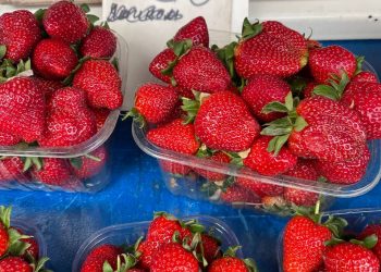 «Пусть проверит цены на квартиры и авто»: после визита повара Ивлева в Краснодар резко подешевела клубника