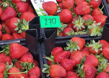 «Гнить начинает уже вечером»: жители Краснодара рассказали о качестве клубники