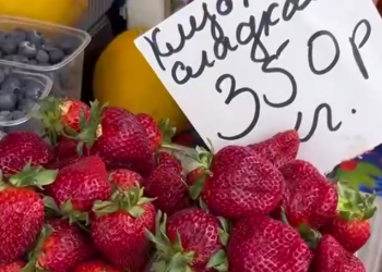 Ивлева пытались развести: цены на клубнику в Краснодаре оказались намного ниже