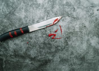 Окровавленного мужчину задержали в Сочи из-за убитой собаки