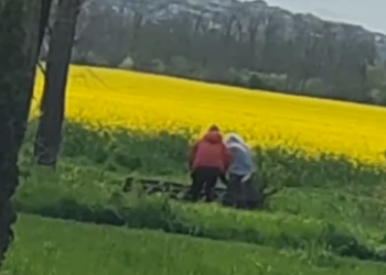 В Анапе подростки оттащили новую лавочку в поле и хотели ее сломать