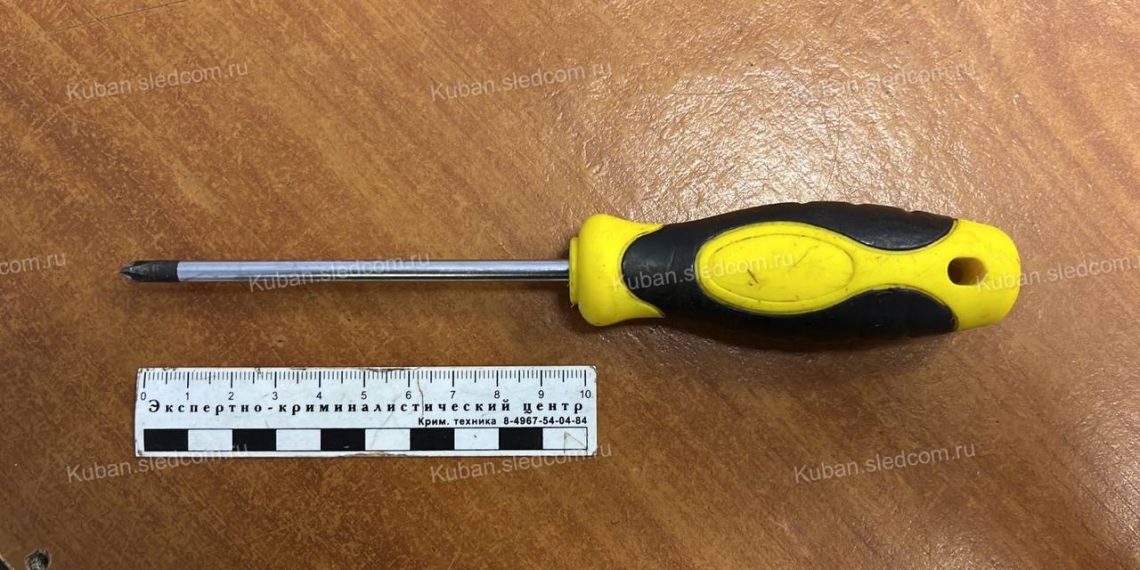 В Новороссийске пьяный мужчина убил отверткой соседку