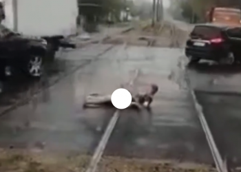 В Краснодаре парень прямо на проезжей части устроил удивительный стриптиз