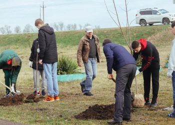 В Краснодаре пройдет субботник 22 апреля