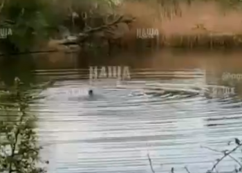 На Кубани мужчина странным образом утонул на глазах рыбаков