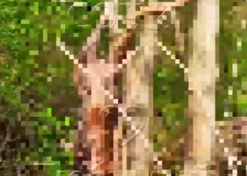 В Сочи 18 апреля полиция организовала проверку ритуального убийства хищной птицы в лесу