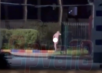 «Сторож подругу выгнал на улицу»: на Кубани голая нимфа бродила по школьной территории