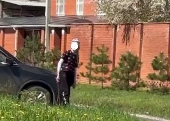 Соцсети: в Краснодаре хозяйка завязала шею собаки пакетом и избила её