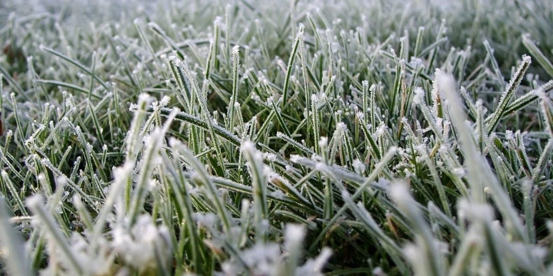 На Кубани объявили экстренное предупреждение по заморозкам