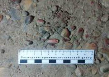 В Адыгее 51-летний мужчина выхватил револьвер из рук знакомого и убил его из-за земельного участка