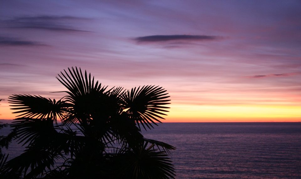 Более 9 миллионов туристов ждут на Кубани летом 2023 года