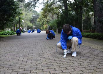 В Сочи от жвачки очистили около 4 тысяч кв. метров набережных, парков и скверов