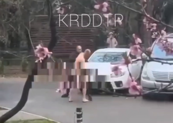 В Краснодаре мужчина в костюме Адама устроил драку за стриптизершу Еву