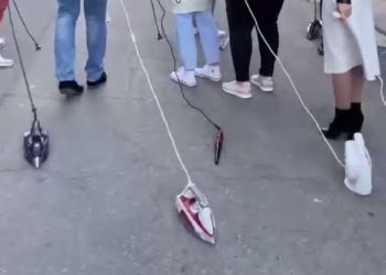 Вслед за утюгами в Анапе начали выгуливать пылесосы и чайники