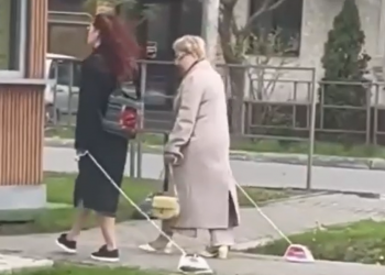 На Кубани сняли на видео двух женщин, выгуливающих свои утюги