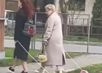 Женщины, выгуливавшие утюги в Анапе, пообещали придумать «что-то повеселее»